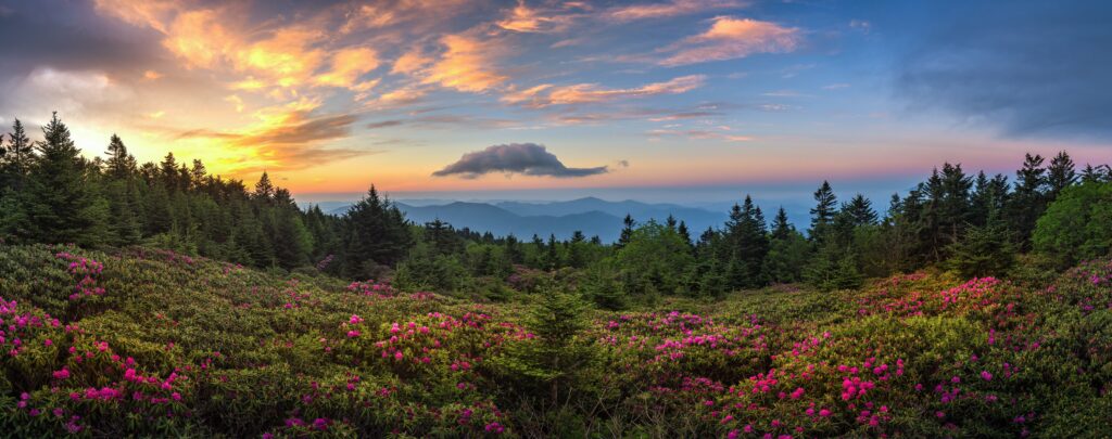 Tennessee wilderness