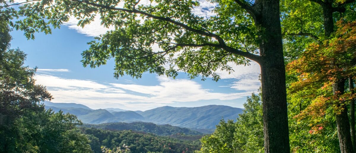 rehab near Seymour, TN